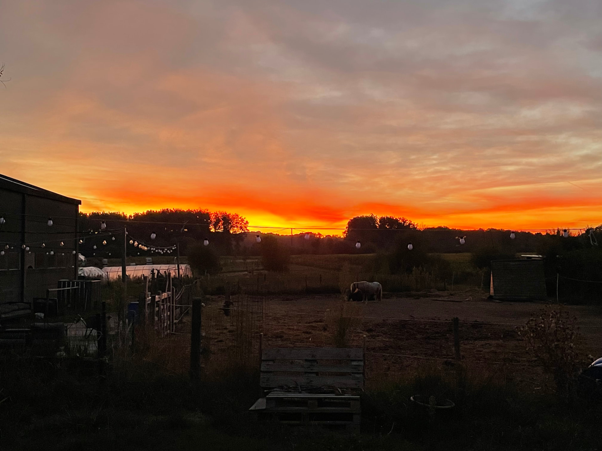 Zonsondergang boven de weides en serres van L'Aurore