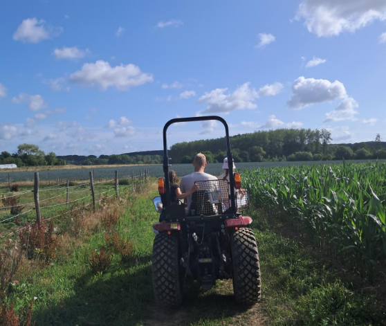 Jongere rijdt met de tractor langs het maisveld